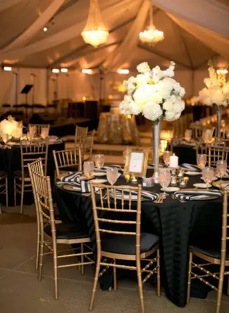 Tiffany Chair for events