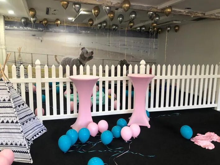 A room with balloons and a white picket.