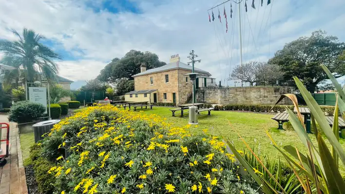 A view of a park with yellow flowers and bushes.