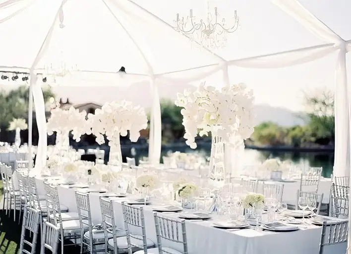 Tiffany Chairs Hornsby