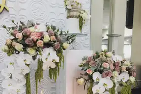 Plinth Hire For Cake