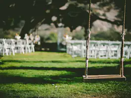 Weddings