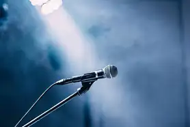 Microphones On Microphone Stands