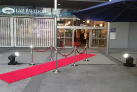 Red Carpet And Bollards 1024x768 1 300x225