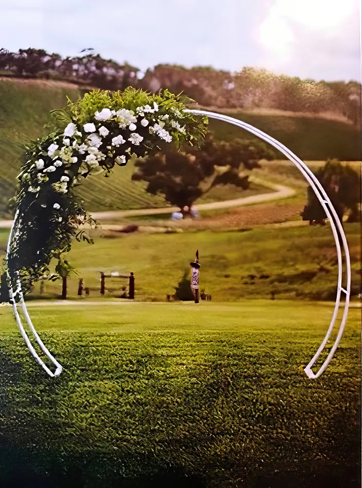 A bridal arch adorned with flowers in the middle of a field.