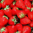 Strawberries 1kg