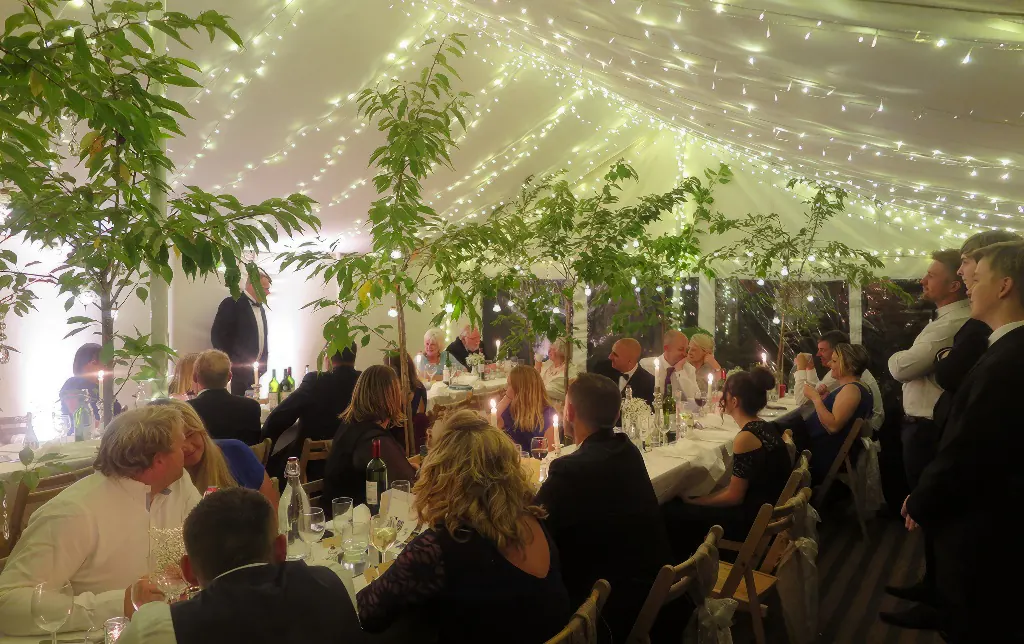 Marquee with greenery and decor