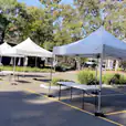 A group of 3mx3m pop-up marquees with white roofs set up in a parking lot.