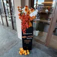 Black perspex plinths displaying products at a corporate event
