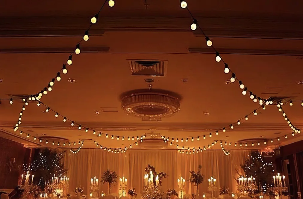 Our Festoon lights hired for a wedding reception