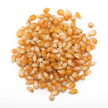 Additional Popcorn Kernels