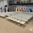 White conference chairs set up and ready for a conference