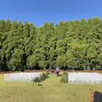 A wedding ceremony set up in front of a large tree, with white padded folding chairs hired for seating.