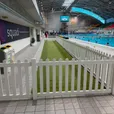 White picket fencing lining a green astro turf walkway beside the competition pool at an indoor aquatic centre