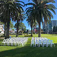 White plastic chairs arranged in rows on grass in a park setting with palm trees and surrounding buildings for an outdoor event