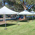 White pop up marquees set up in a row on a grassed outdoor area with trees, open lawn space and weighted frame legs