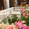 A white picket fence with pink flowers and cocktail tables.
Keywords: White Cocktail Table Hire