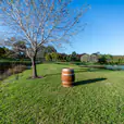 Our wine barrel on a grassy outdoor area